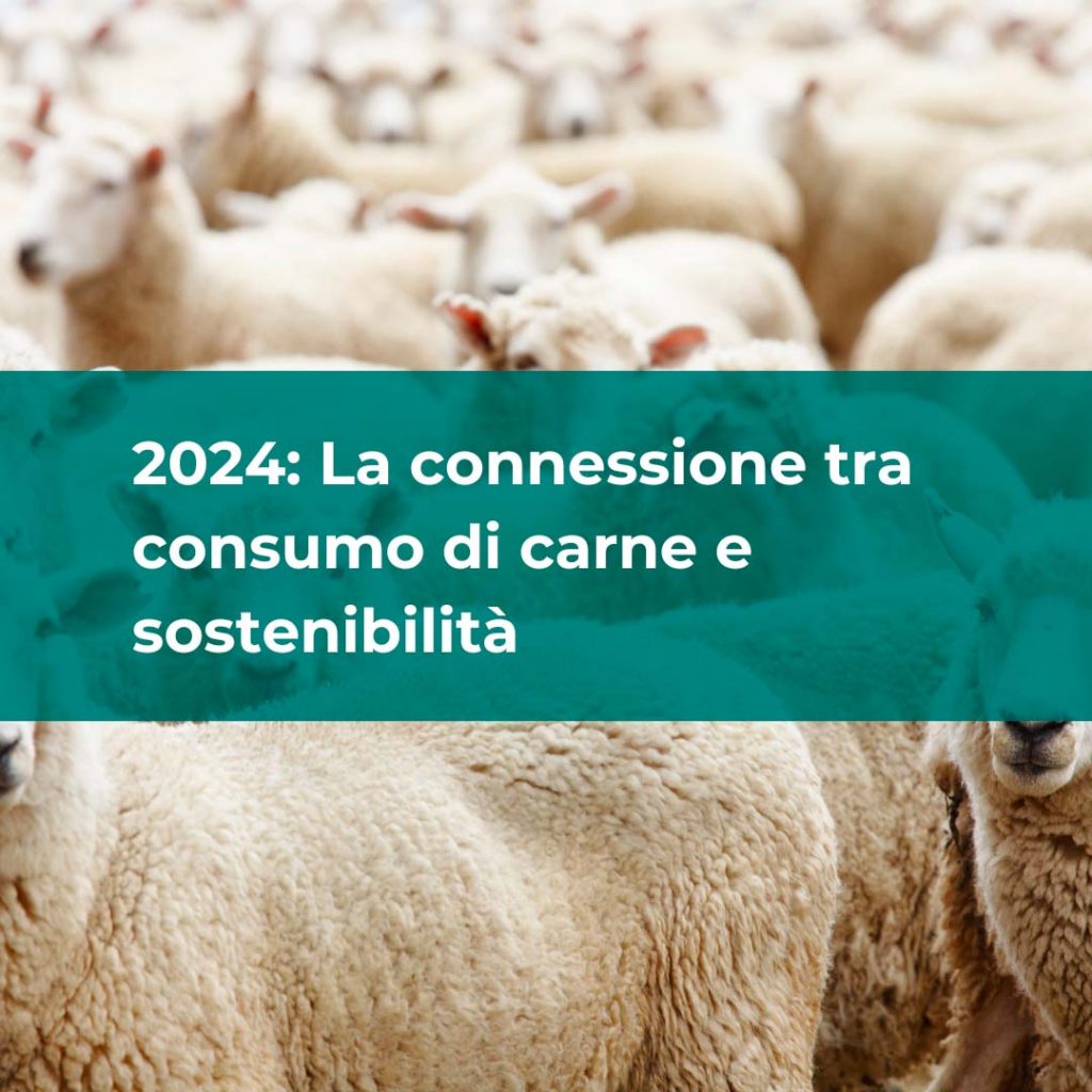 La connessione tra consumo di carne e sostenibilità